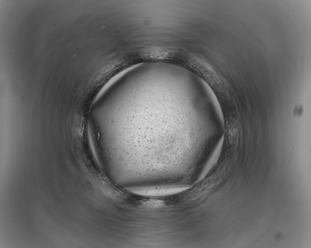 X0000097290374200802291756