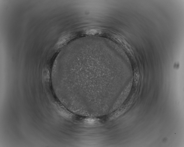 X0000097290375200802291756