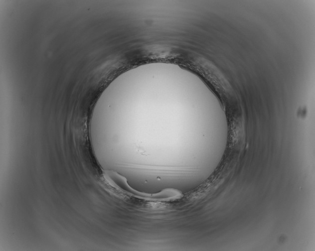 X0000097290376200802291756