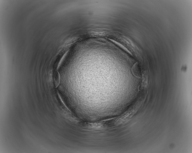 X0000097290377200802291756