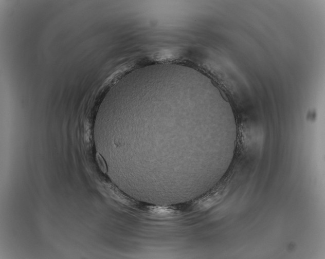 X0000097290380200802291756