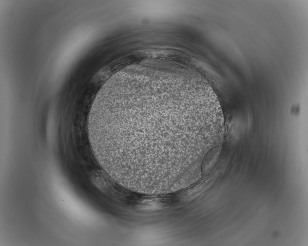 X0000097290381200802291756