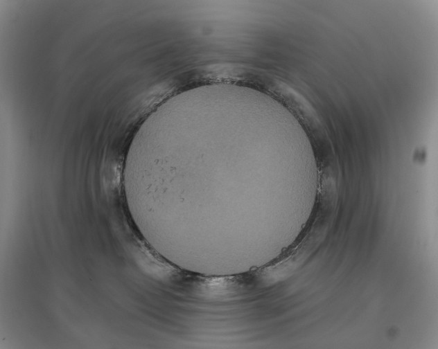 X0000097290382200802291756
