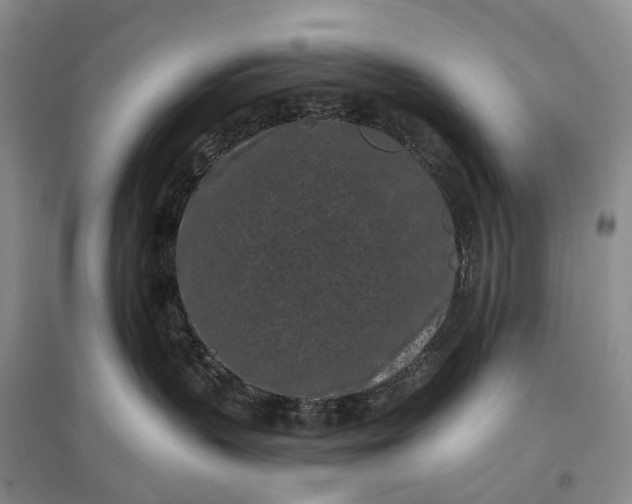 X0000097290383200802291756