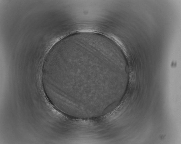 X0000097290385200802291756