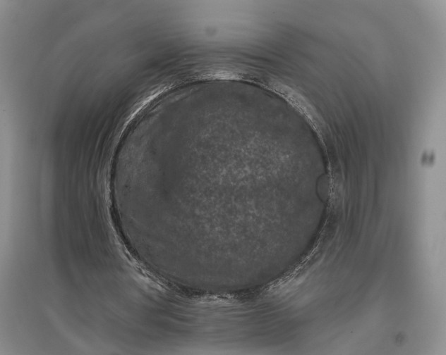 X0000097290386200802291756