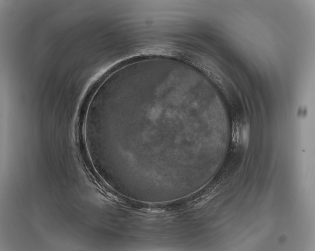 X0000097290388200802291756
