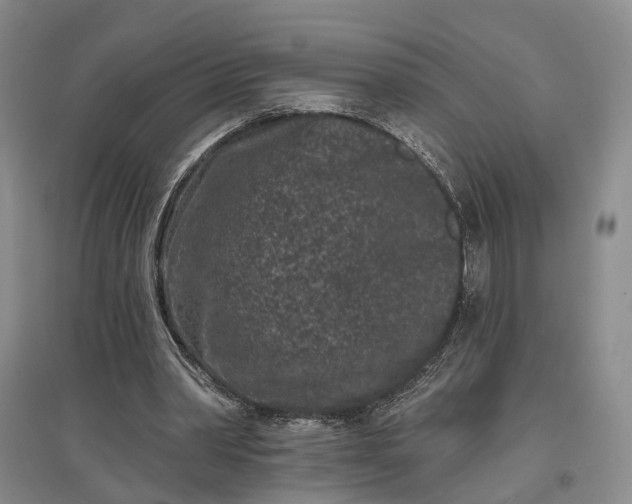 X0000097290390200802291756