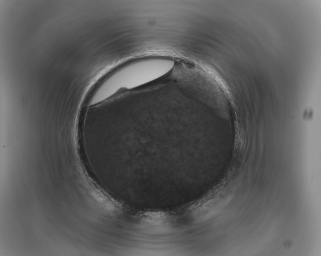 X0000097290391200802291756