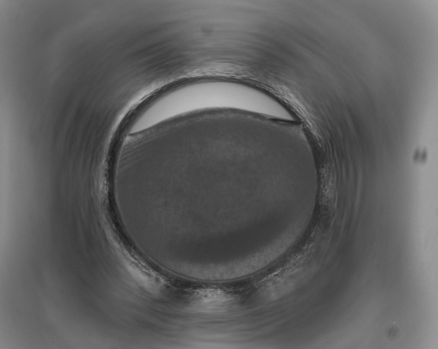 X0000097290392200802291756