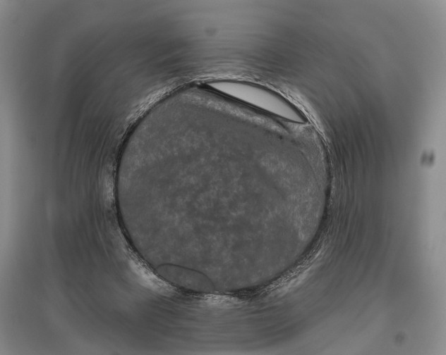 X0000097290393200802291756