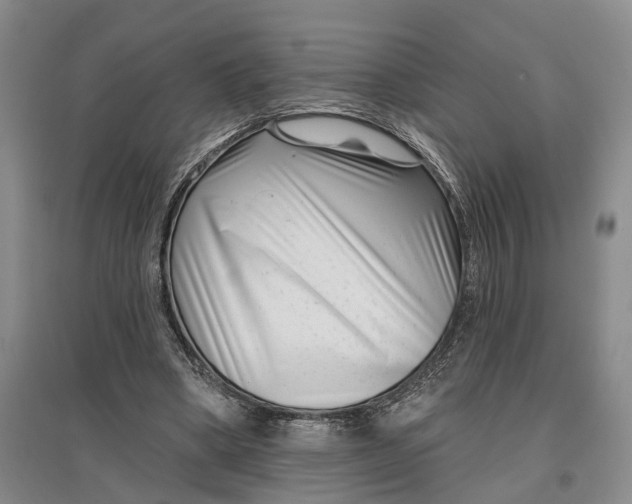 X0000097290394200802291756