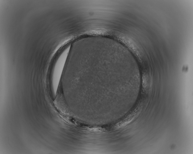 X0000097290396200802291756