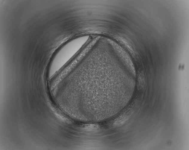 X0000097290398200802291756