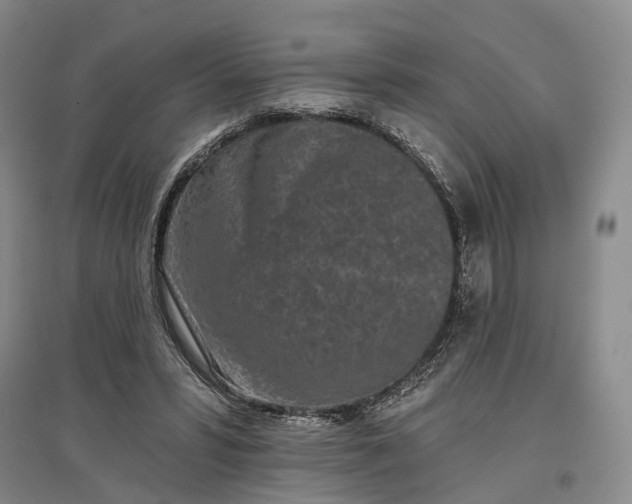X0000097290399200802291756
