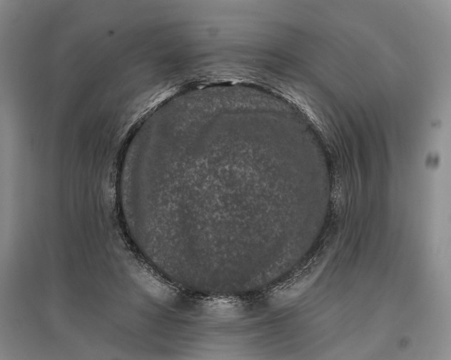X0000097290402200802291755