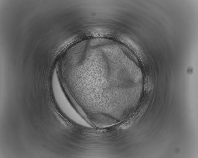 X0000097290405200802291755