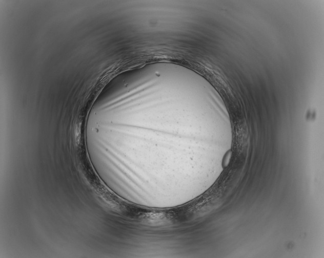 X0000097290406200802291755