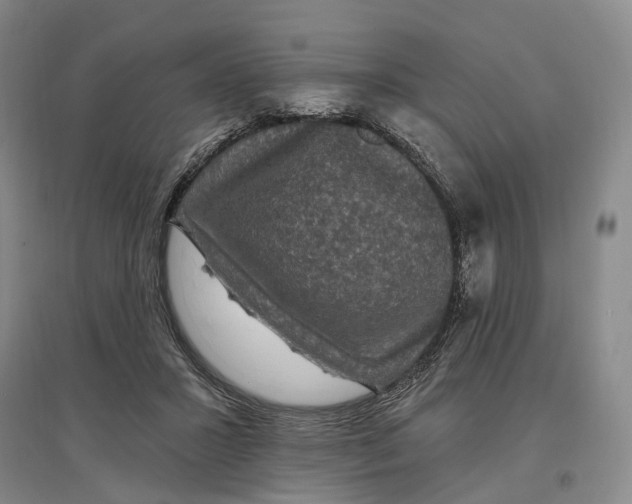 X0000097290407200802291755