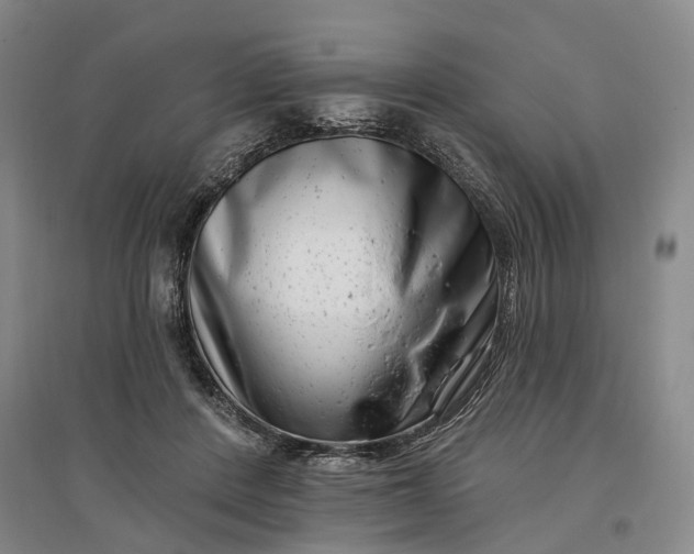 X0000097290408200802291755
