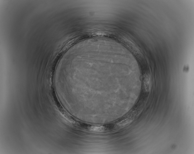 X0000097290410200802291755