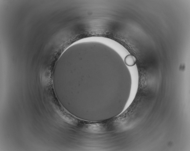 X0000097290411200802291755