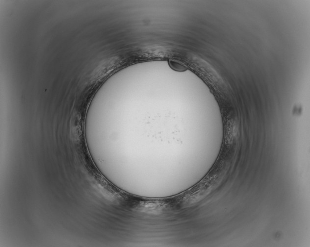 X0000097290414200802291755