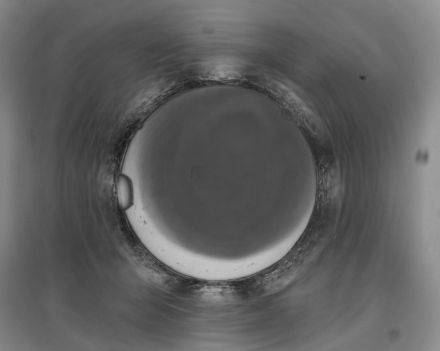 X0000097290415200802291755