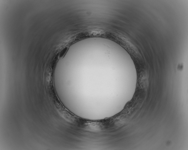 X0000097290417200802291755