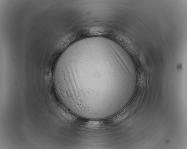X0000097290418200802291755