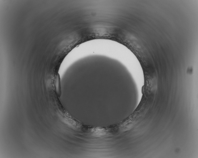 X0000097290419200802291755