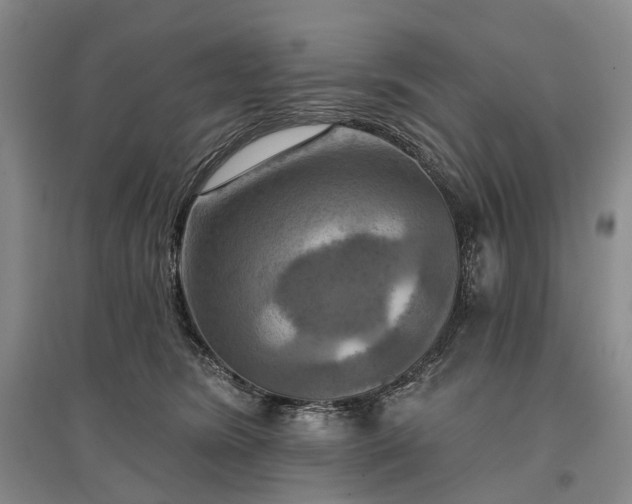 X0000097290420200802291755