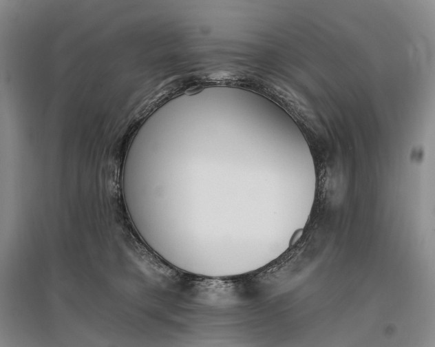 X0000097290421200802291755