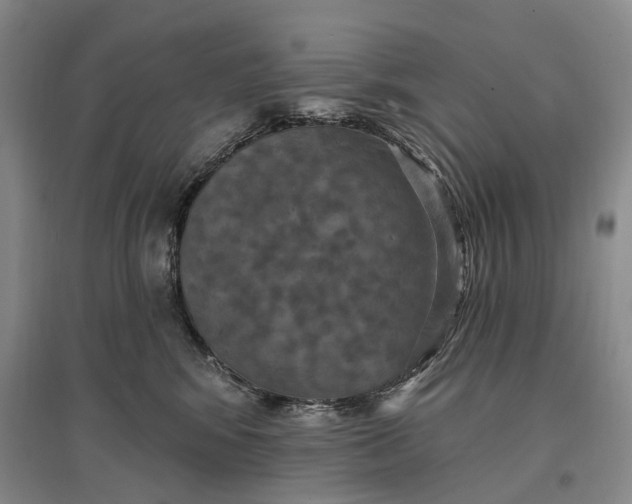 X0000097290424200802291755