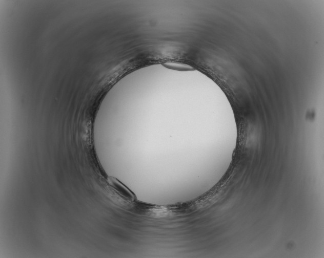 X0000097290425200802291755