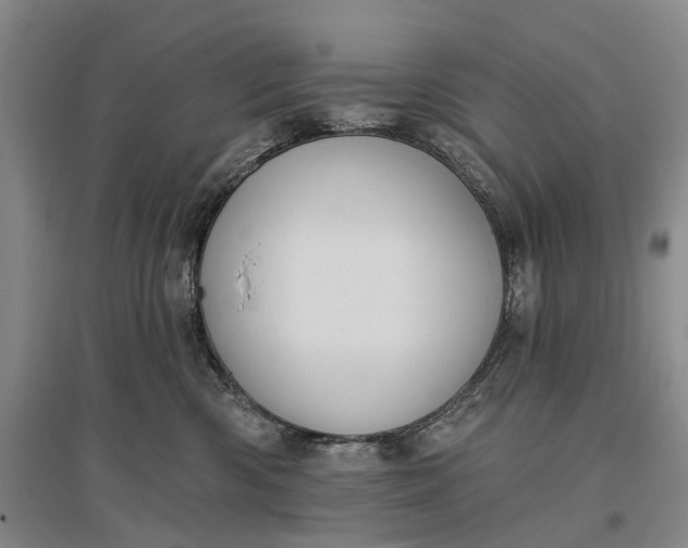 X0000097290426200802291755