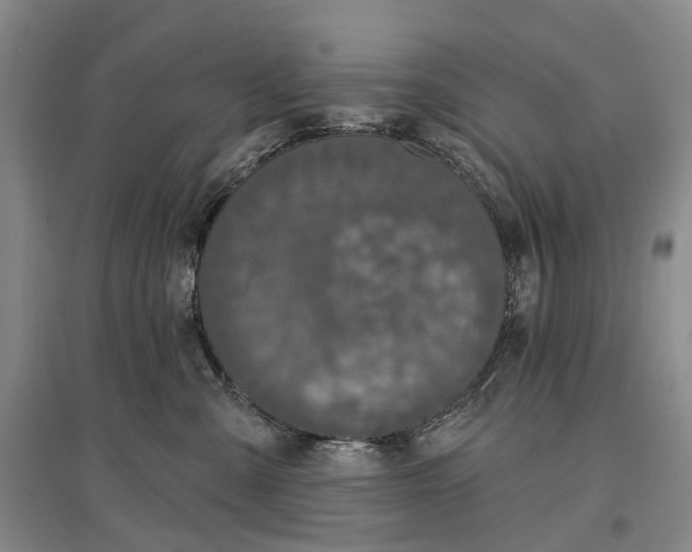 X0000097290427200802291755
