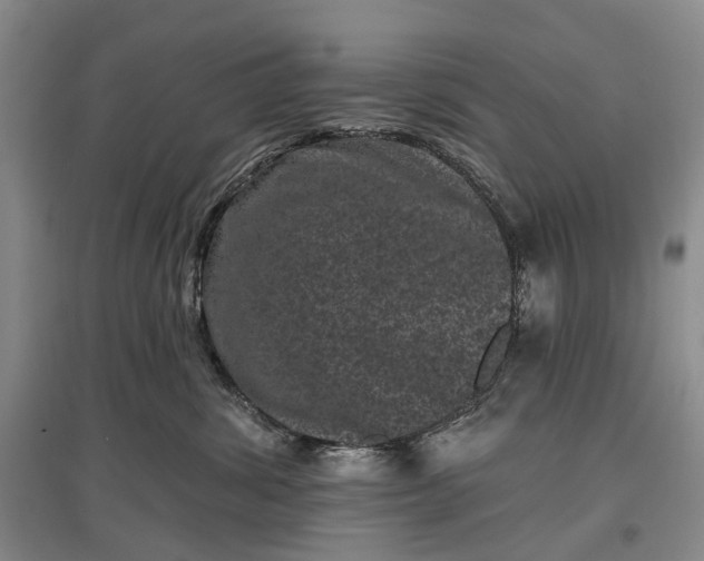 X0000097290428200802291755