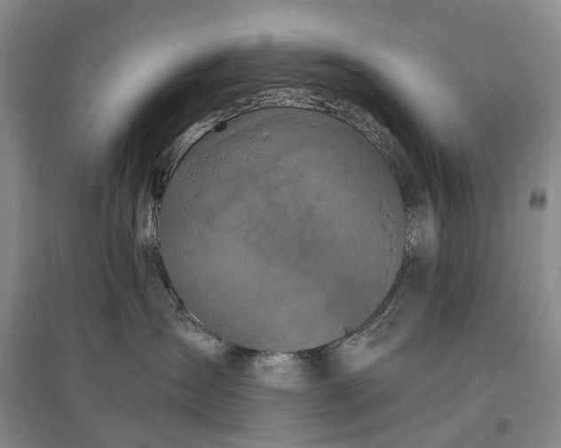 X0000097290431200802291755