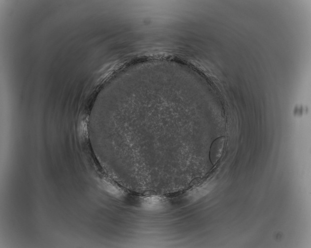 X0000097290432200802291755