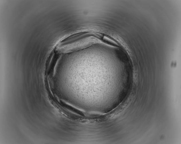 X0000097290434200802291754