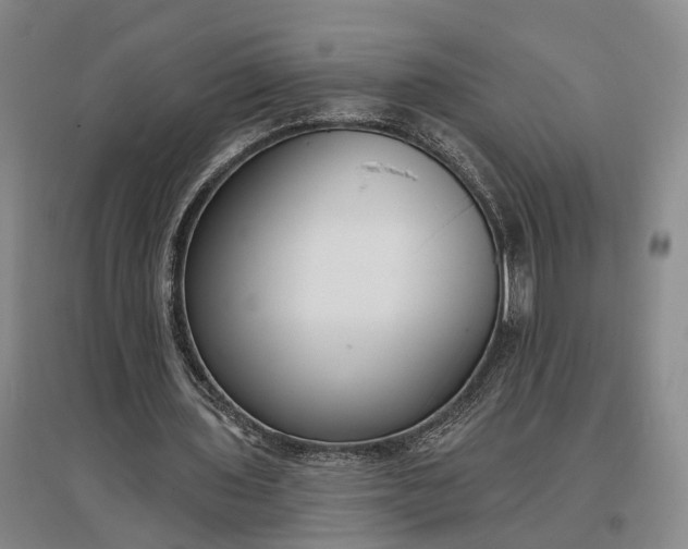 X0000097290435200802291754
