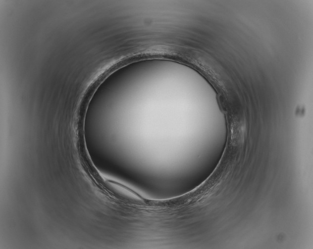 X0000097290436200802291754