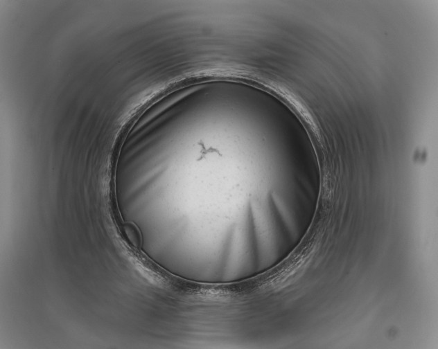 X0000097290437200802291754