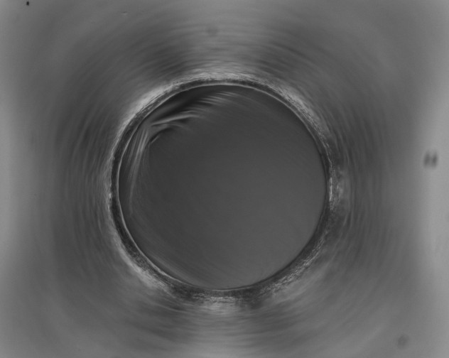 X0000097290438200802291754