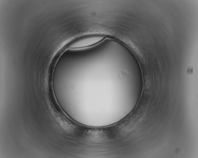 X0000097290440200802291755