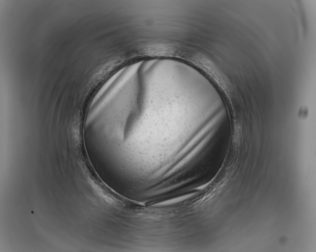 X0000097290441200802291755