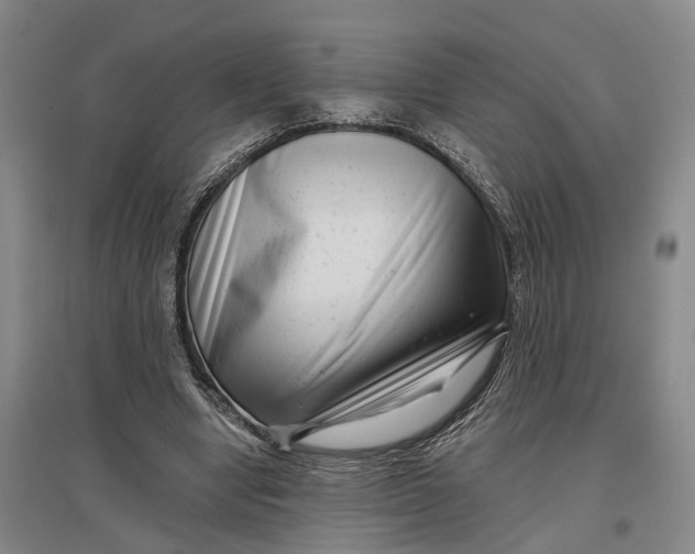 X0000097290442200802291755