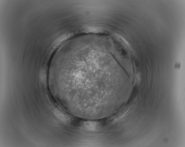 X0000097290444200802291755