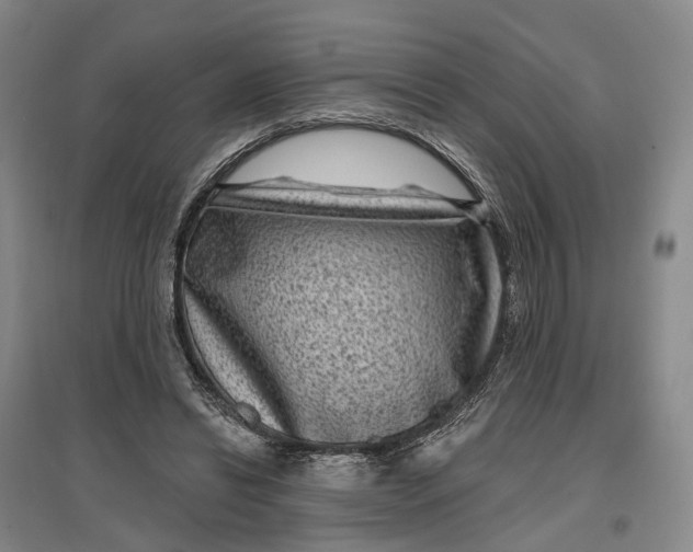 X0000097290446200802291755